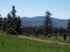 ViewFromProperty9